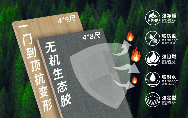 HENF五强板