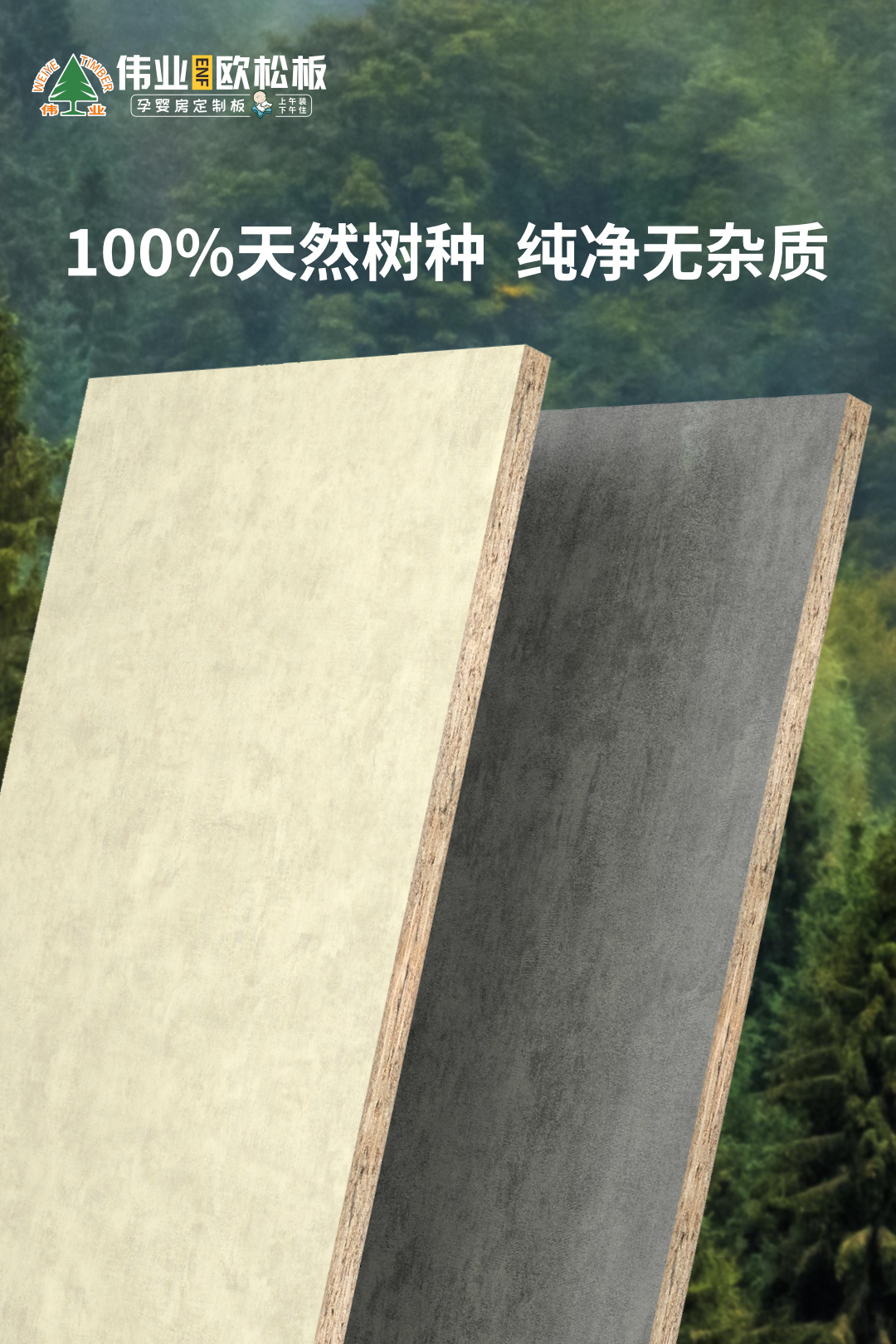 画板2.jpg
