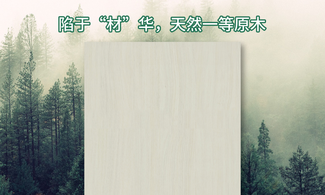 画板3.jpg