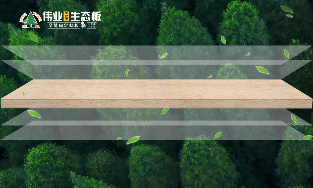 画板3.jpg
