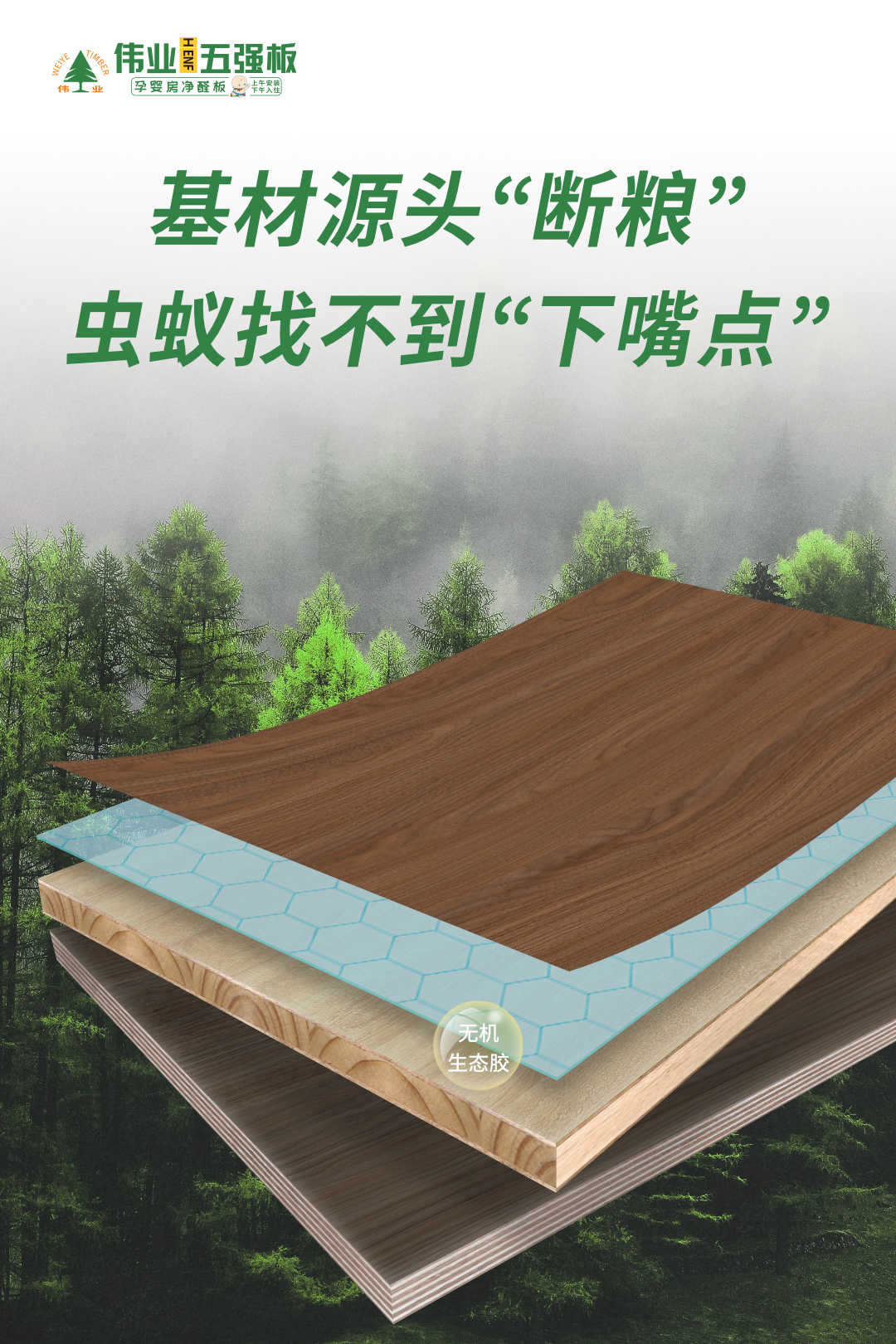画板3.jpg