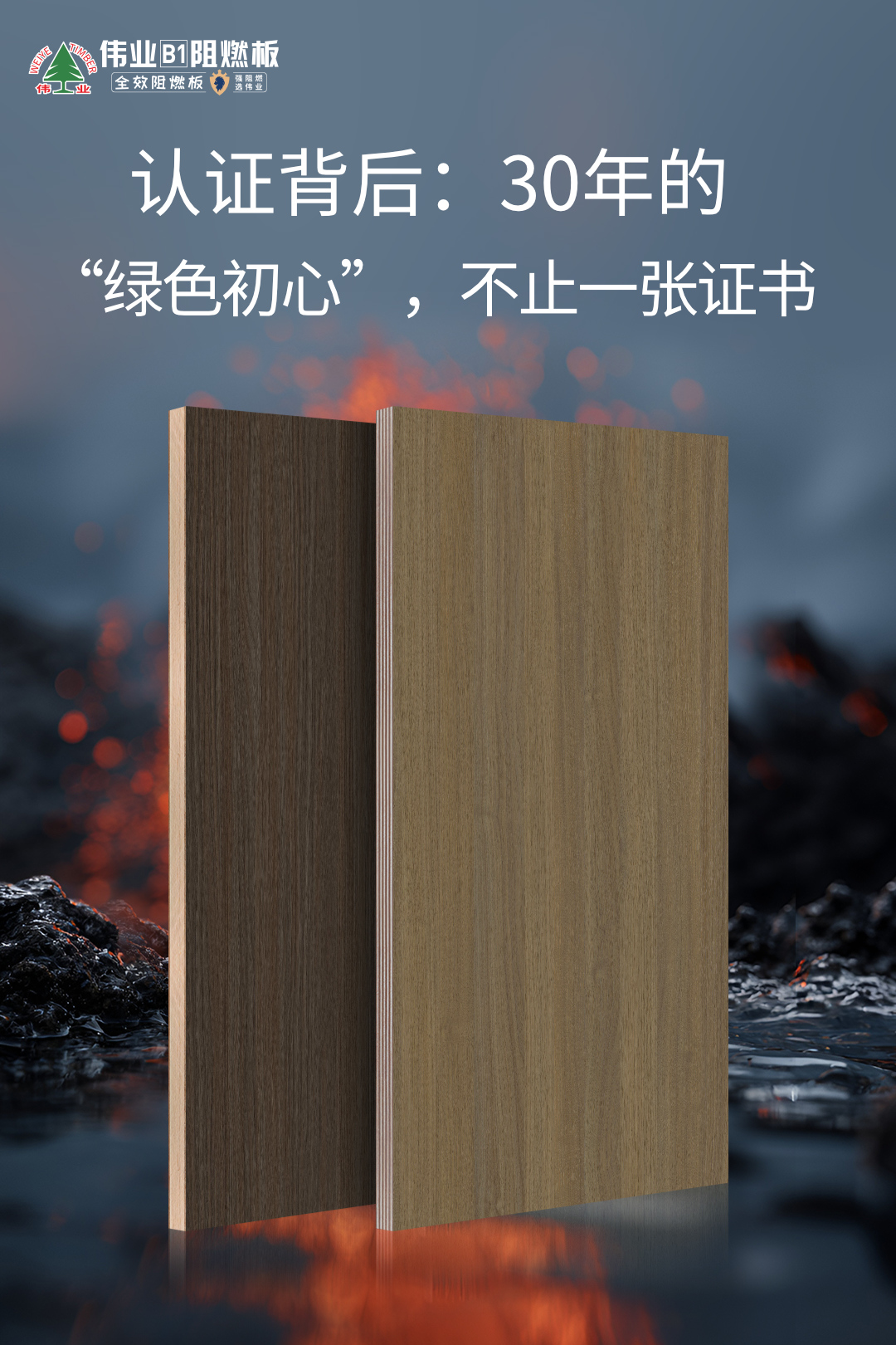 画板4.jpg