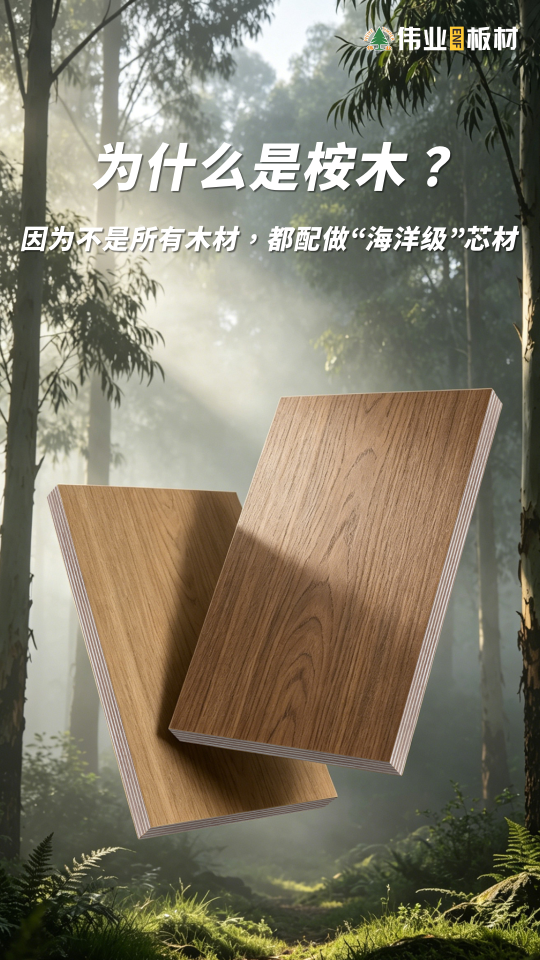 画板3.jpg