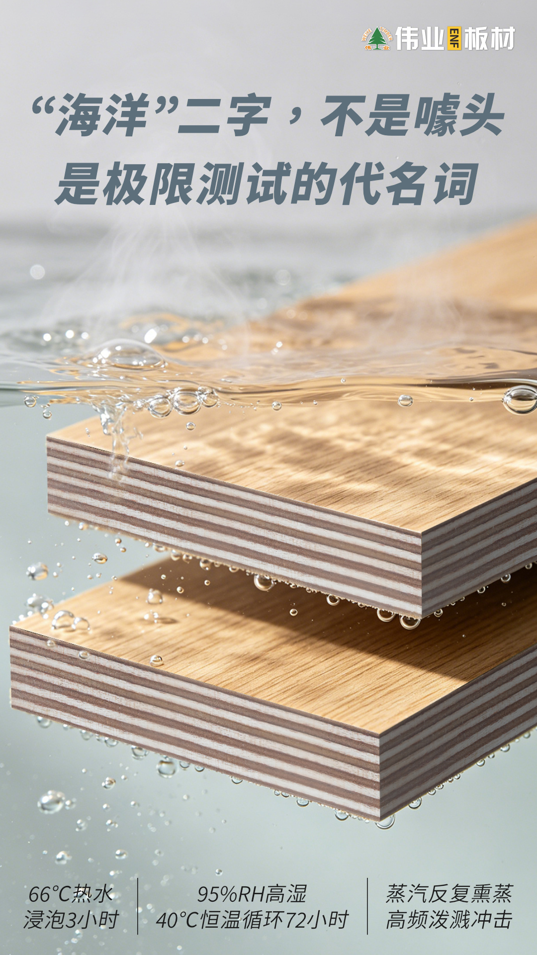 画板4.jpg