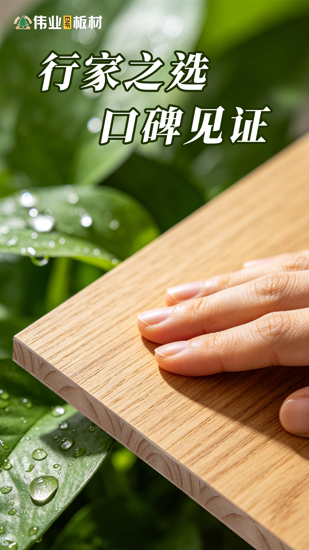 画板6.jpg