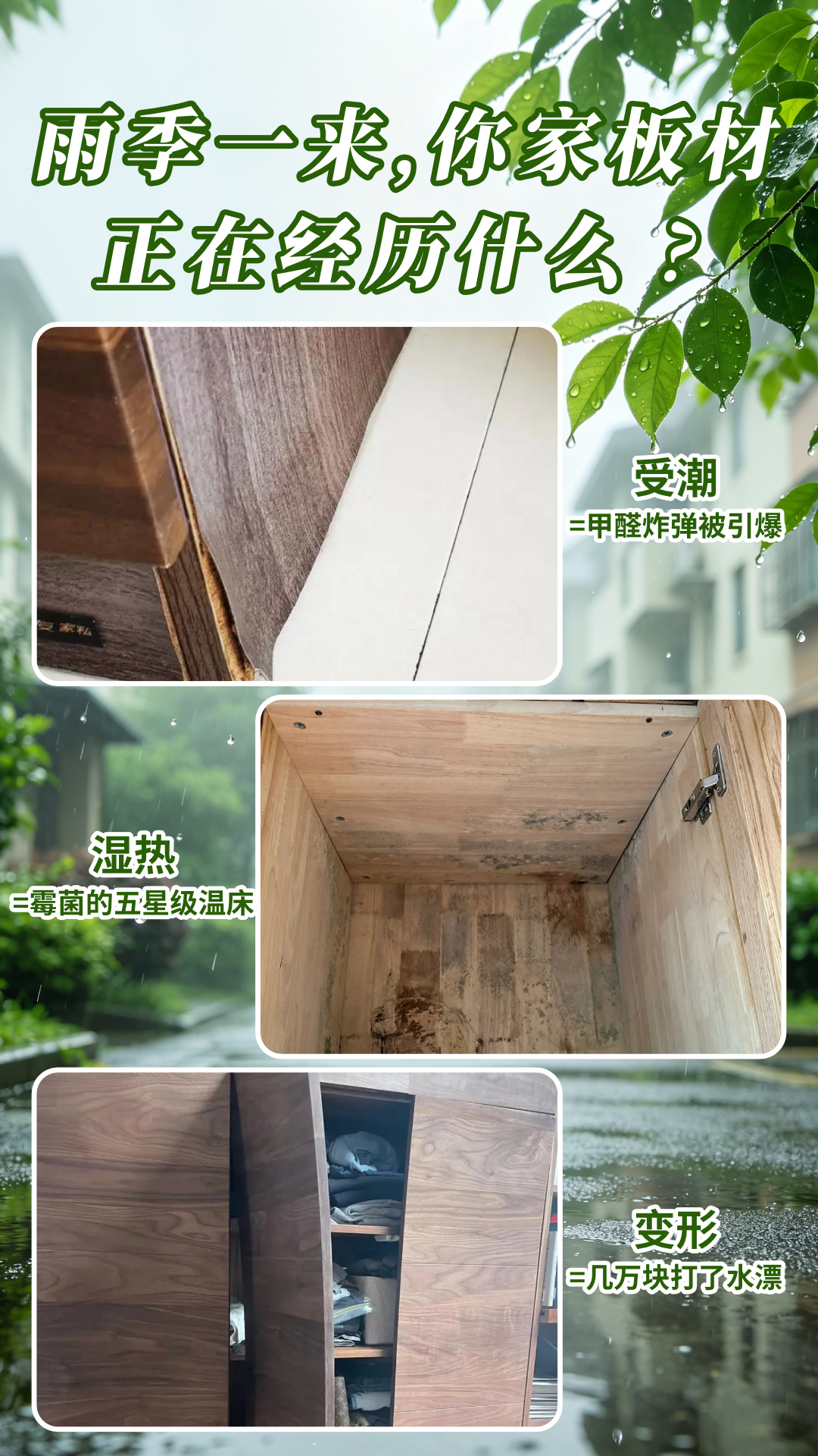 画板3.jpg