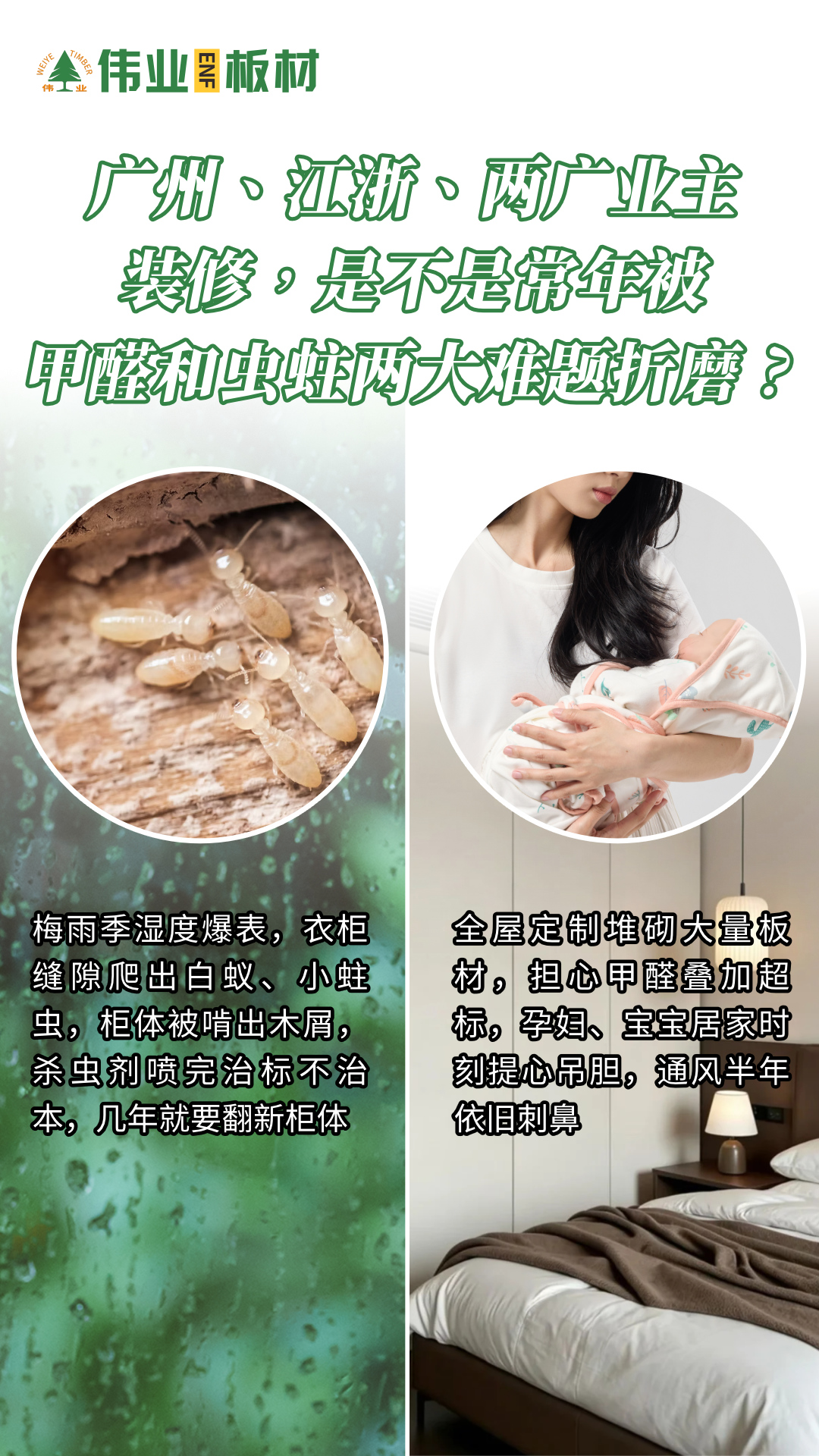 画板2.jpg