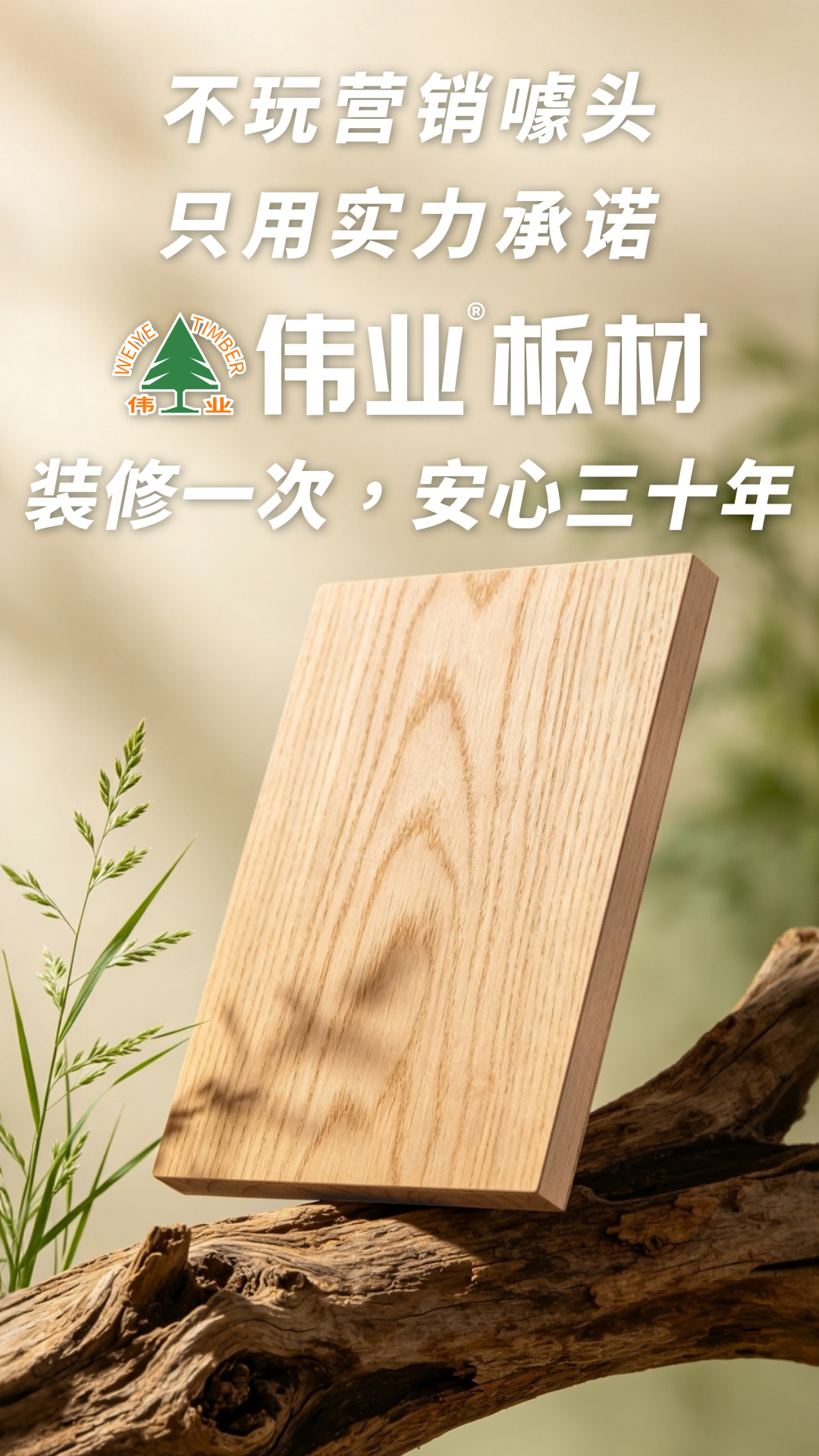 画板1.jpg